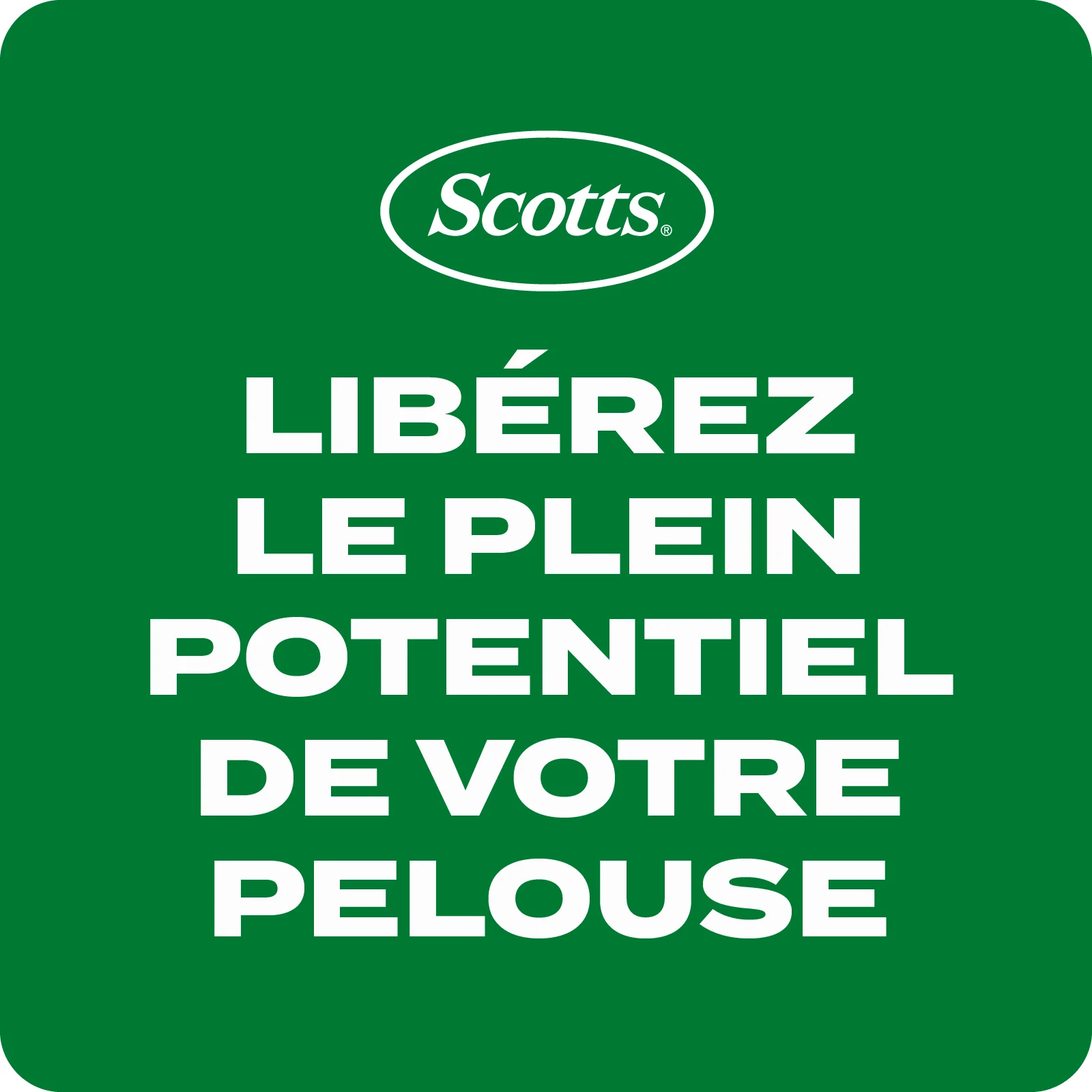 LAWN SEED Q+T TILE 1 FRENCH