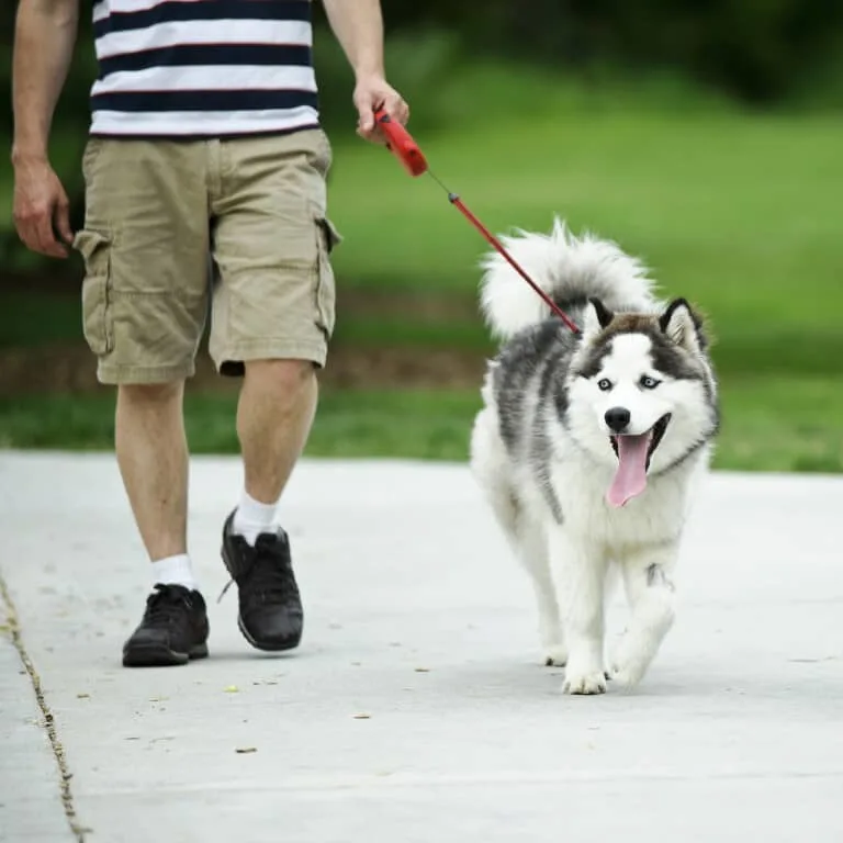 Here’s How to Have Fun Exercising with Your Pet | Home Hardware