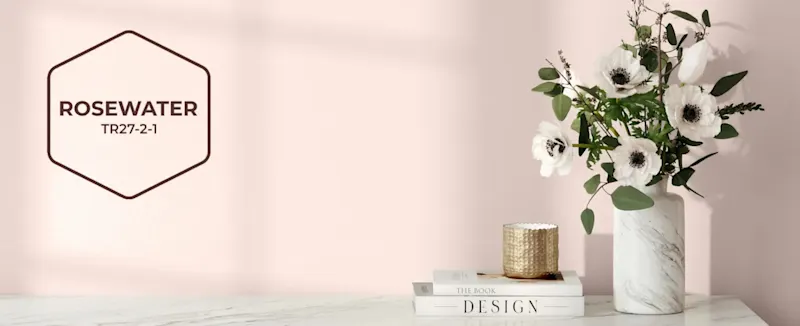BeautiTone - Colour of the Year COTY Banner 2027 Rosewater Image