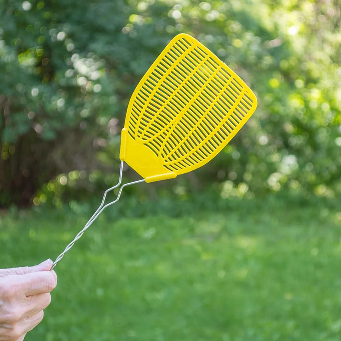 A fly swatter