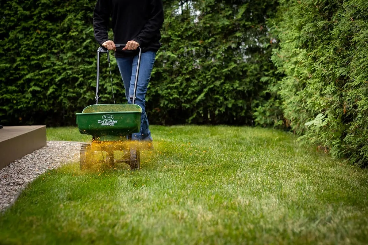 Step 3: Recover & Protect Your Lawn