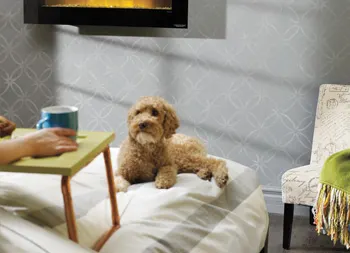 legacy asset from source