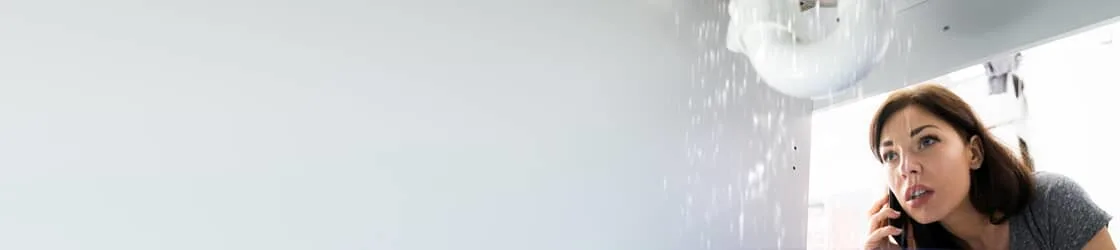 unknown legacy asset