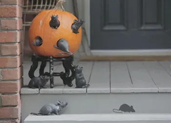 legacy asset from source