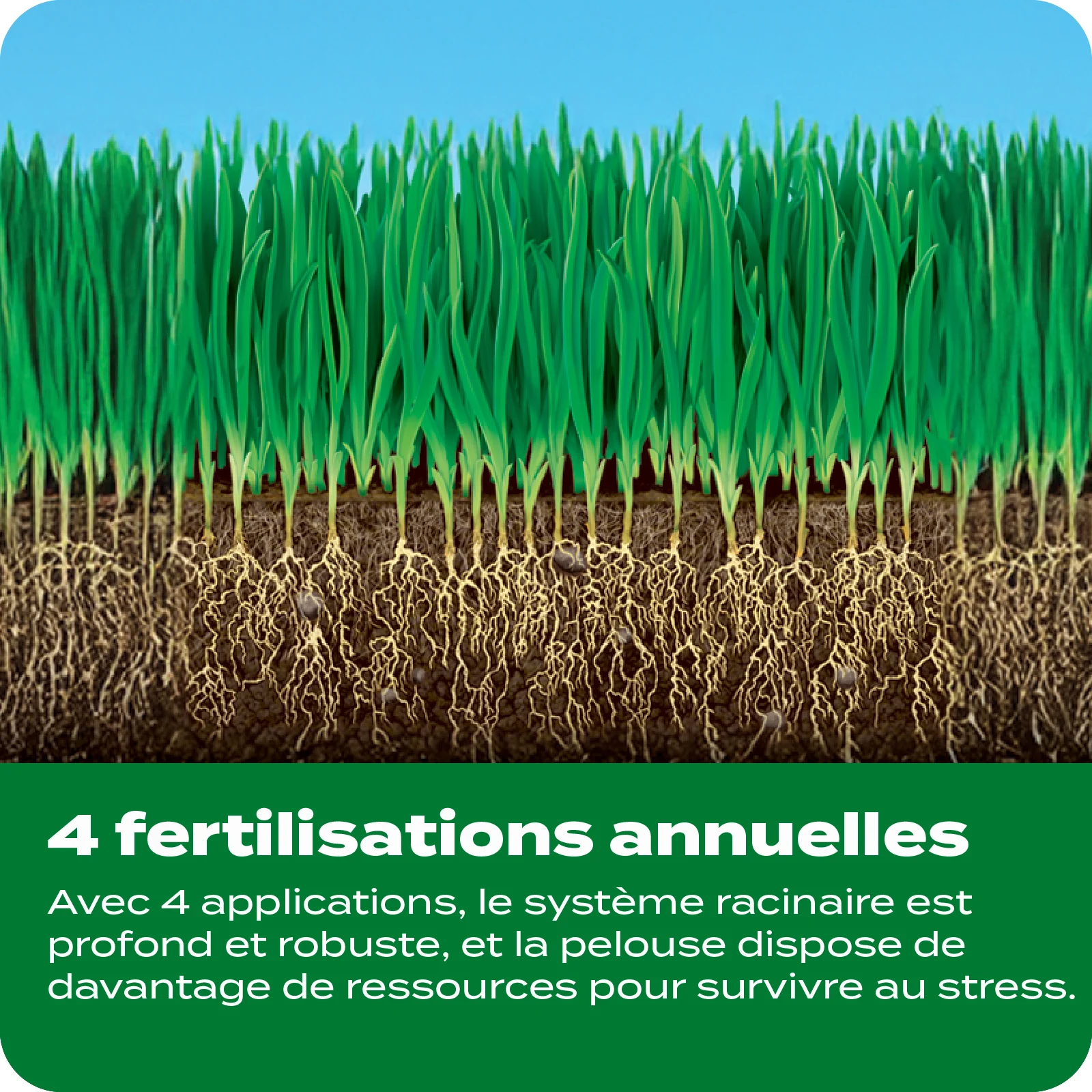 LAWN FERT TILE 10 FRENCH
