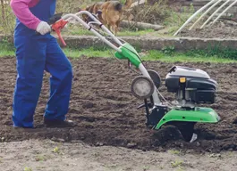 legacy asset from source