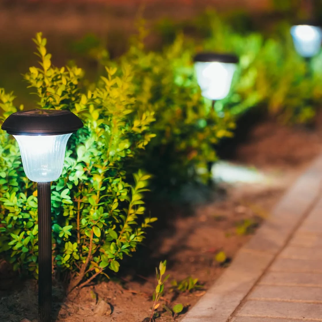 A pathway lit by path lights