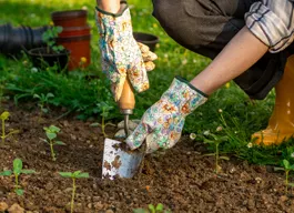 legacy asset from source