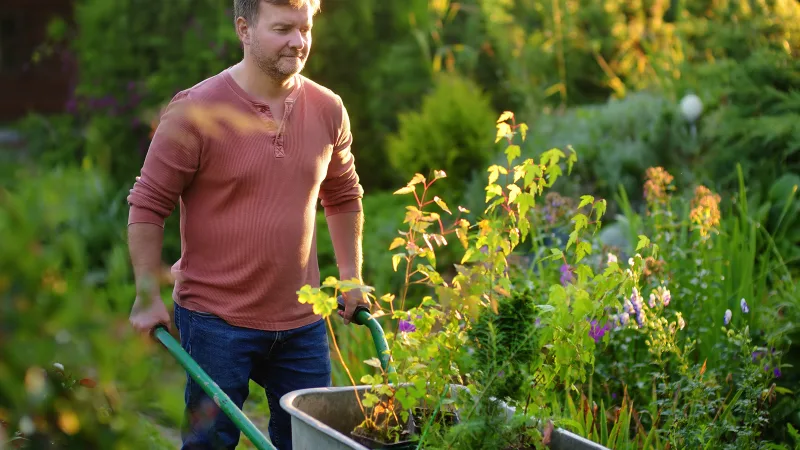 Un homme nettoyant un jardin