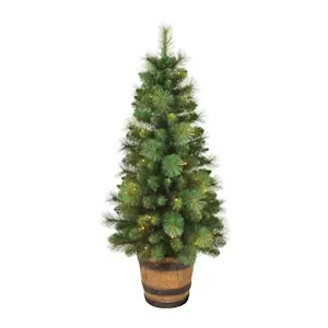 image of Trees