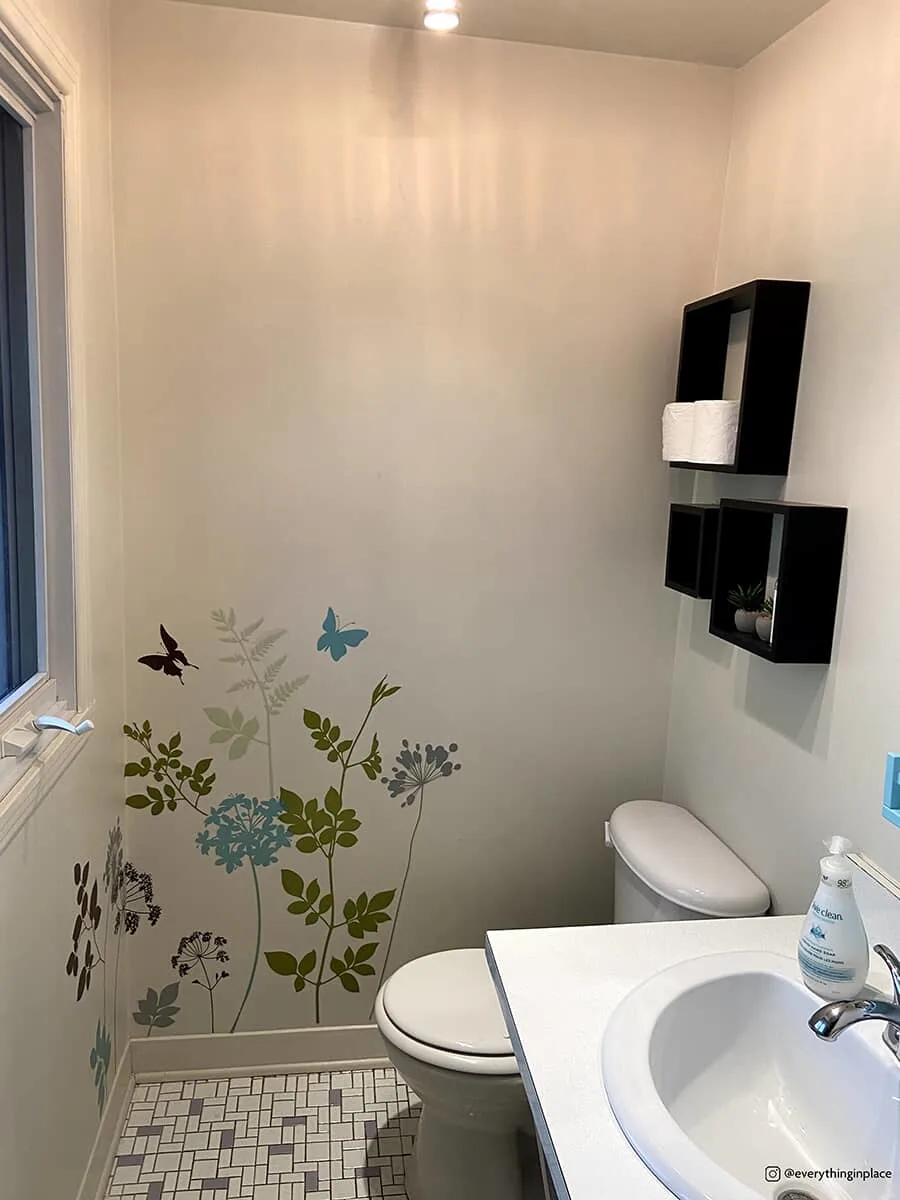 Before the bathroom revamp