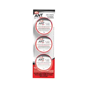 image of Insect Traps