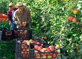 legacy asset from source