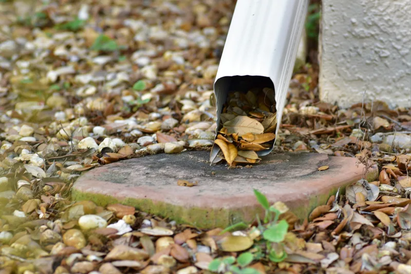 A downspout clogged with leaves