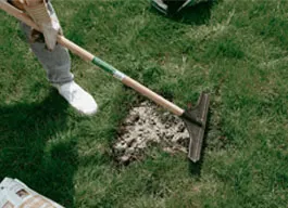 legacy asset from source