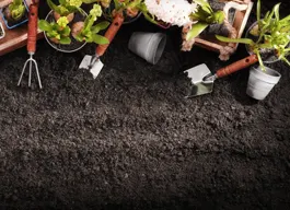 legacy asset from source