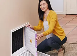 legacy asset from source