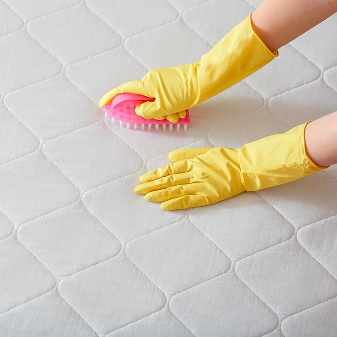 Here’s How to Get Rid of Bed Bugs Home Hardware