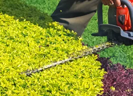 legacy asset from source