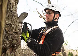 legacy asset from source