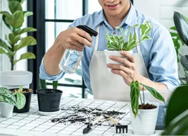 legacy asset from source