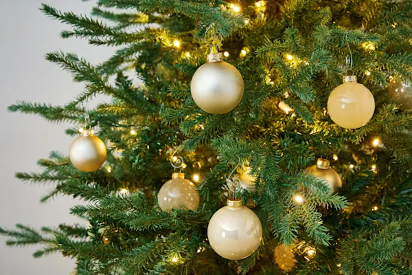 Simply Evergreen - Banner (Ornaments) Image