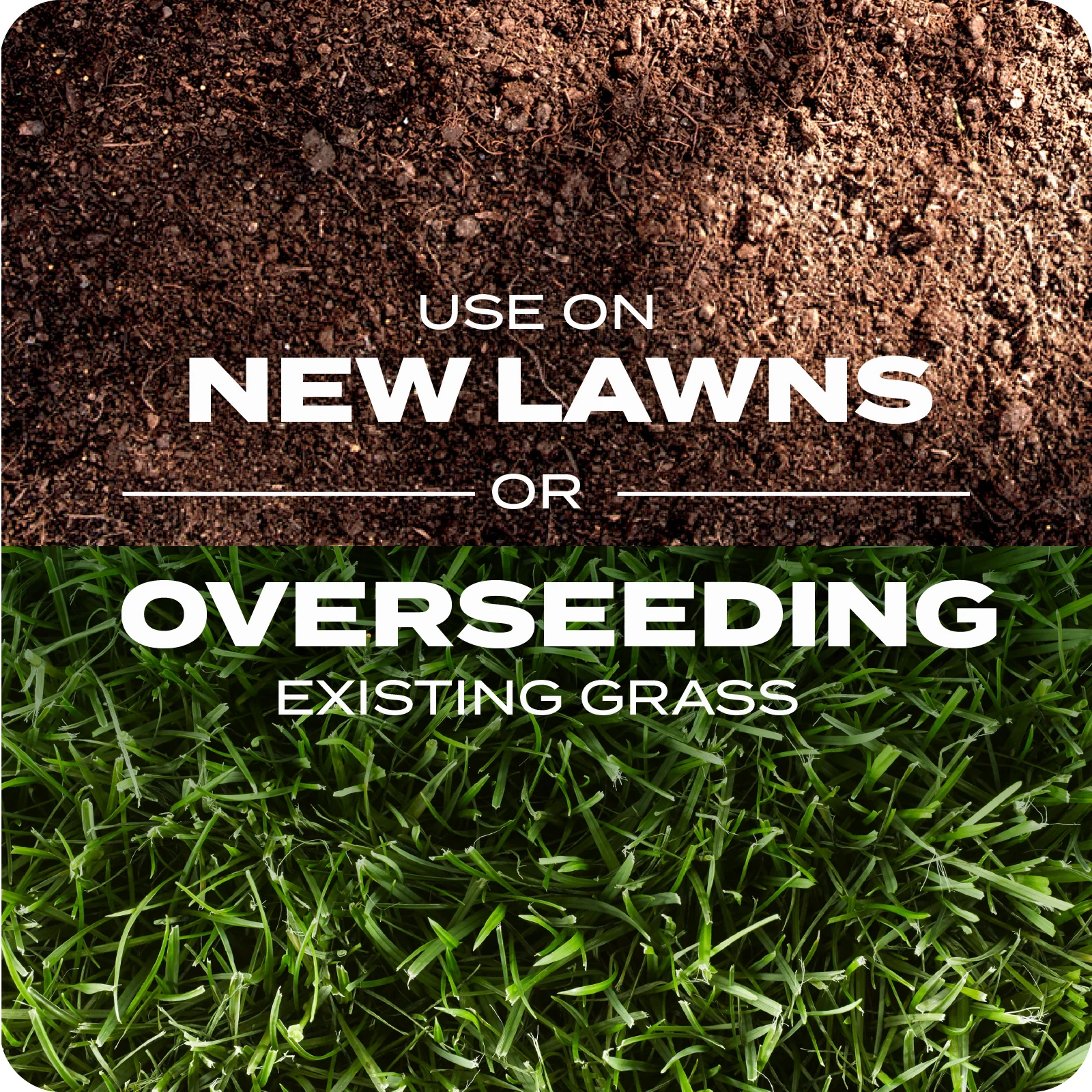 LAWN SEED Q+T TILE 3 ENGLISH