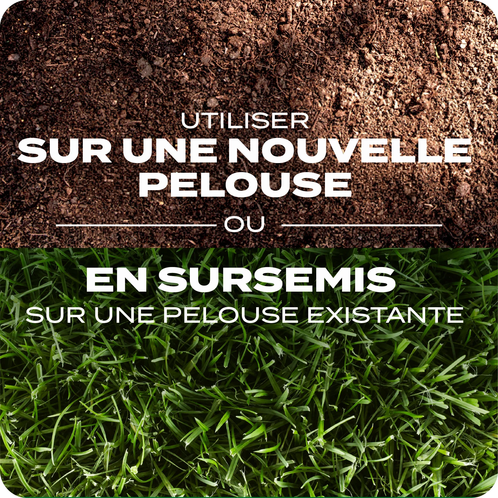 LAWN SEED Q+T TILE 3 FRENCH