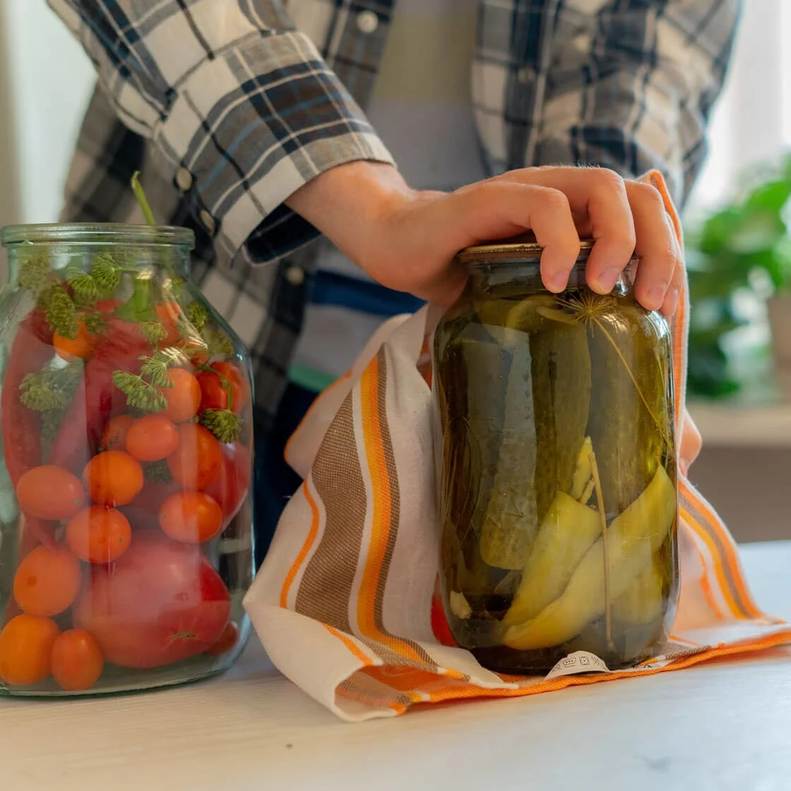 Someone seals a jar of pickles