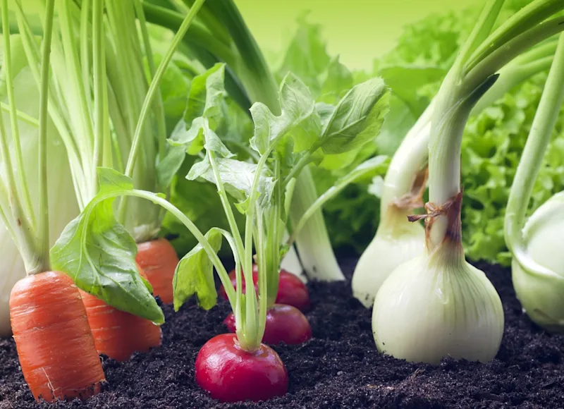 legacy asset from source