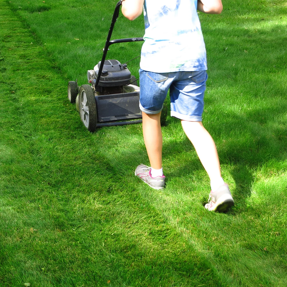 Person mowing lawn 1120x1120