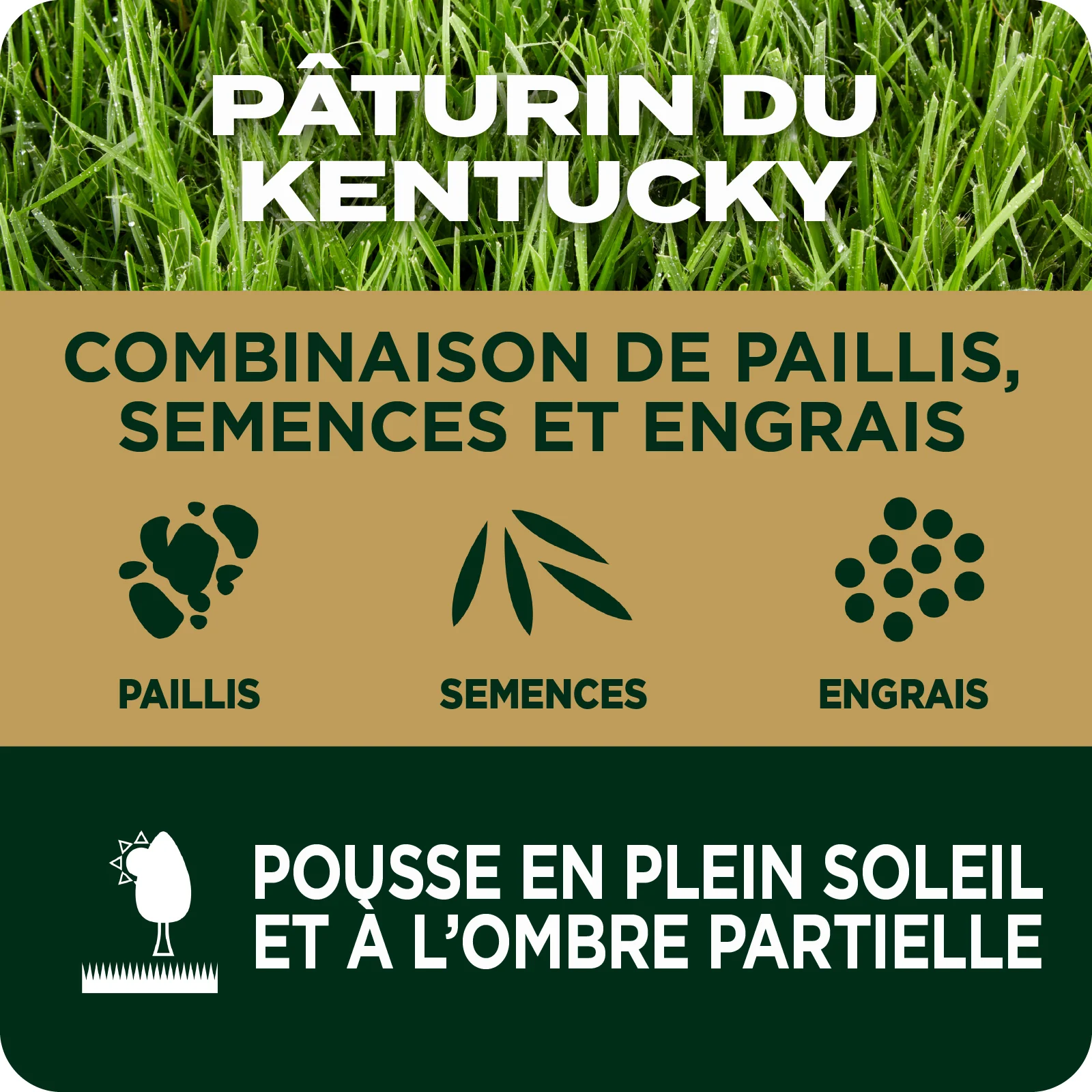 LAWN SEED EZ SEED TILE 2 FRENCH