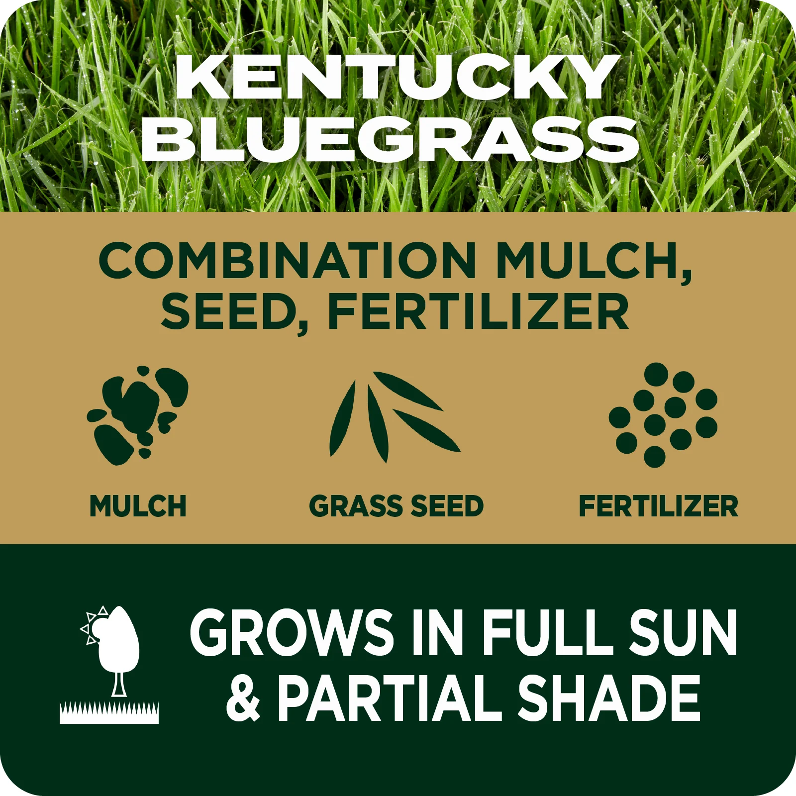LAWN SEED EZ SEED TILE 2 ENGLISH