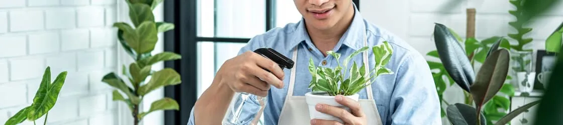 house plants and mental health banner