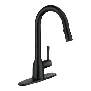 image of A kitchen faucet