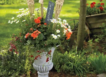 legacy asset from source