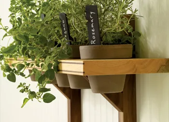 legacy asset from source