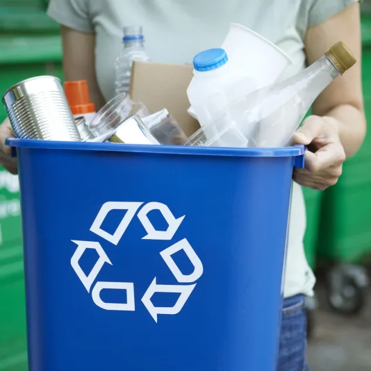 Someone takes out the recycle