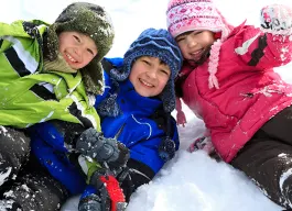 legacy asset from source