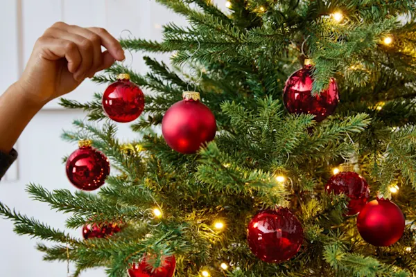 Simply Evergreen - Banner (Trees) Image