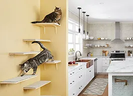 legacy asset from source