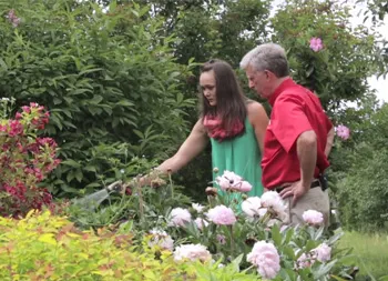 legacy asset from source