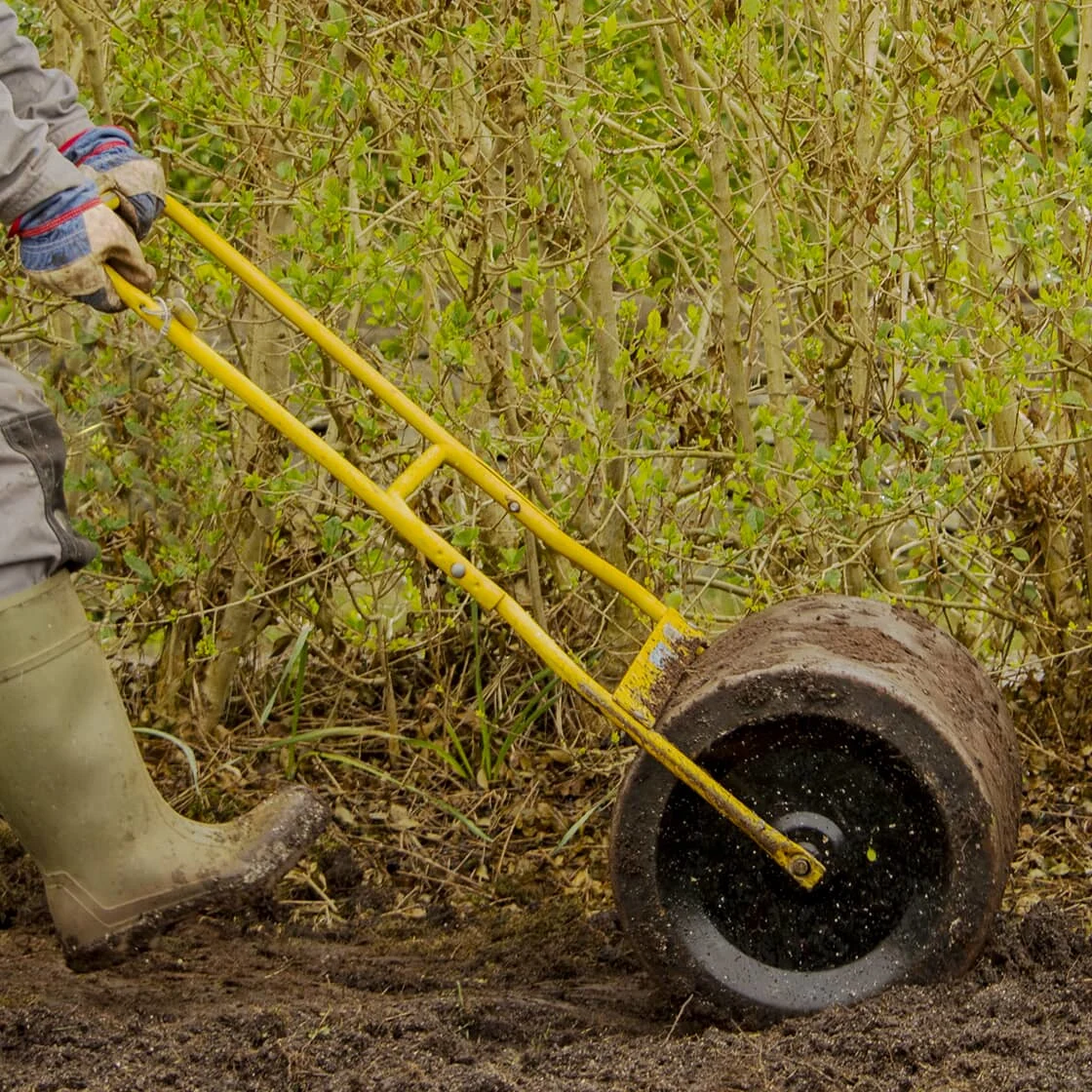 Comment semer du gazon sur une pelouse existante ?