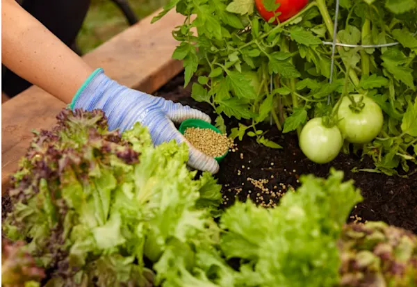 BBQs & Outdoor Cooking - More Backyard Inspiration Banner Group - Lawn & Garden Image