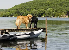 legacy asset from source