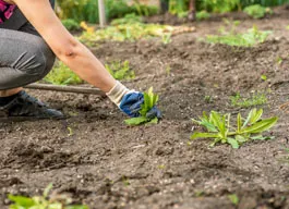 legacy asset from source