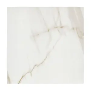 image of Carreaux de porcelaine 
