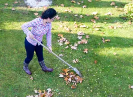 legacy asset from source