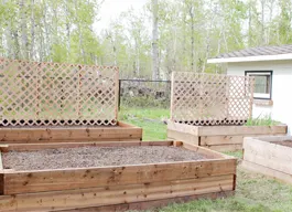 legacy asset from source