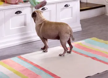 legacy asset from source